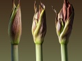 IMG_3560-bewerkt-2